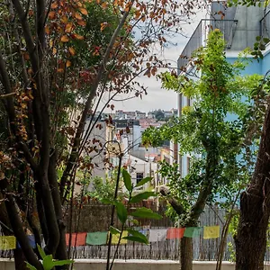 Lost :: Avenida House Pensjonat Lizbona